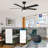 Amonni 52'' Ceiling Fan with LED Lights-527479718