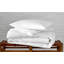 Valletto Goose Down Comforter-24436598
