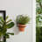 Metal Iron Wall Planter Contemporary Decorative Arched Frame Minimalist Style Vertical Garden Mount Accent Modern Geometric Design Durable Construction Indoor Outdoor Display Hanging Container-499693102