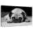 Brampt Sad Pug-106427495