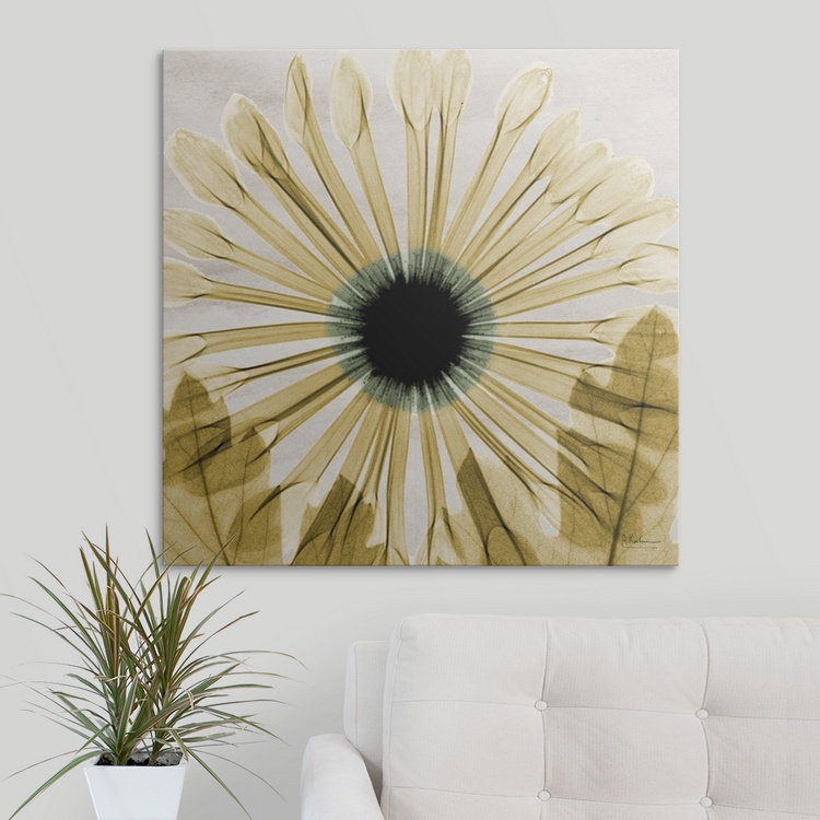 « chrysanthemum ii x-ray » par albert koetsier,, reproduction de photo, H 35 po x l 35 po x P 1,5 po, Toile