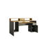 Rasla Laminate Desk