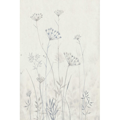 Neutre Queen Anne's Lace I