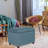 Fontanez Rectangular Tufted Storage Ottoman-1890608377