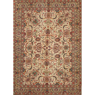 Oriental Indoor Rug