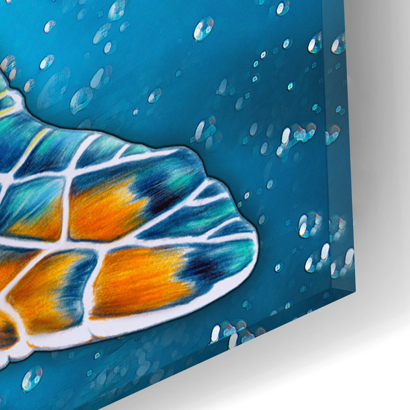 «Sea Turtle» par Tim Jeffs, art mural acrylique, 16 po x 12 po
