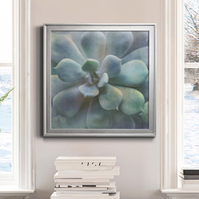" Soft Succulent II " Painting Print