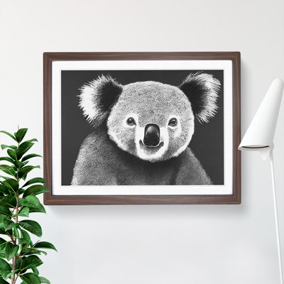 Koala Bear - Framed Print