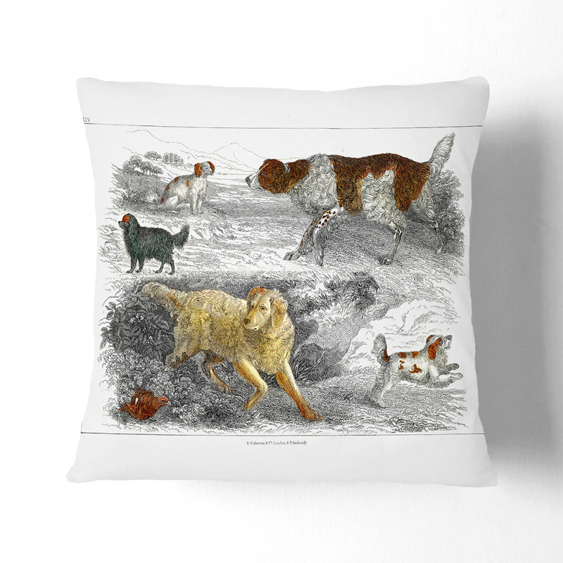 Square Cushion, 55cm H x 55cm W x 20cm D, Grey/Yellow/Brown
