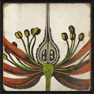'Vintage Flower Colors' Framed Painting Print in Red