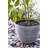 Nil   Pot Planter-680392643