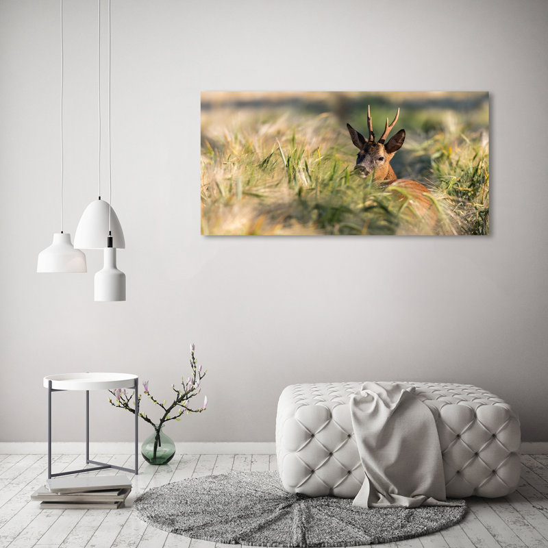 Deer In The Field - Wrapped Canvas Print