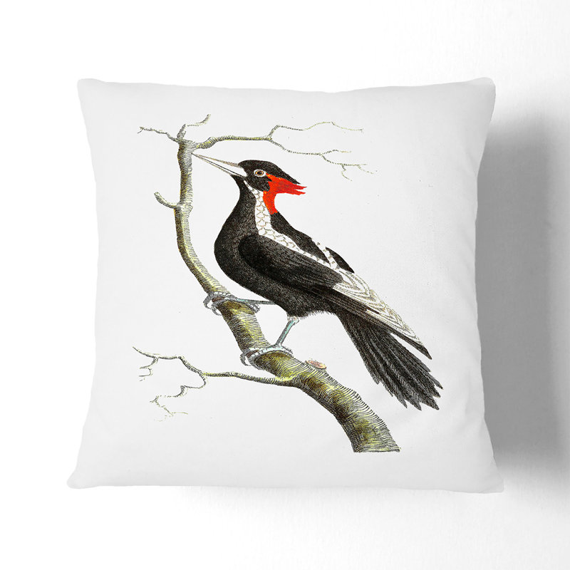 Square Cushion, 40cm H x 40cm W x 15cm D