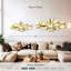 Ensemble d'outils dentaires-1844863087