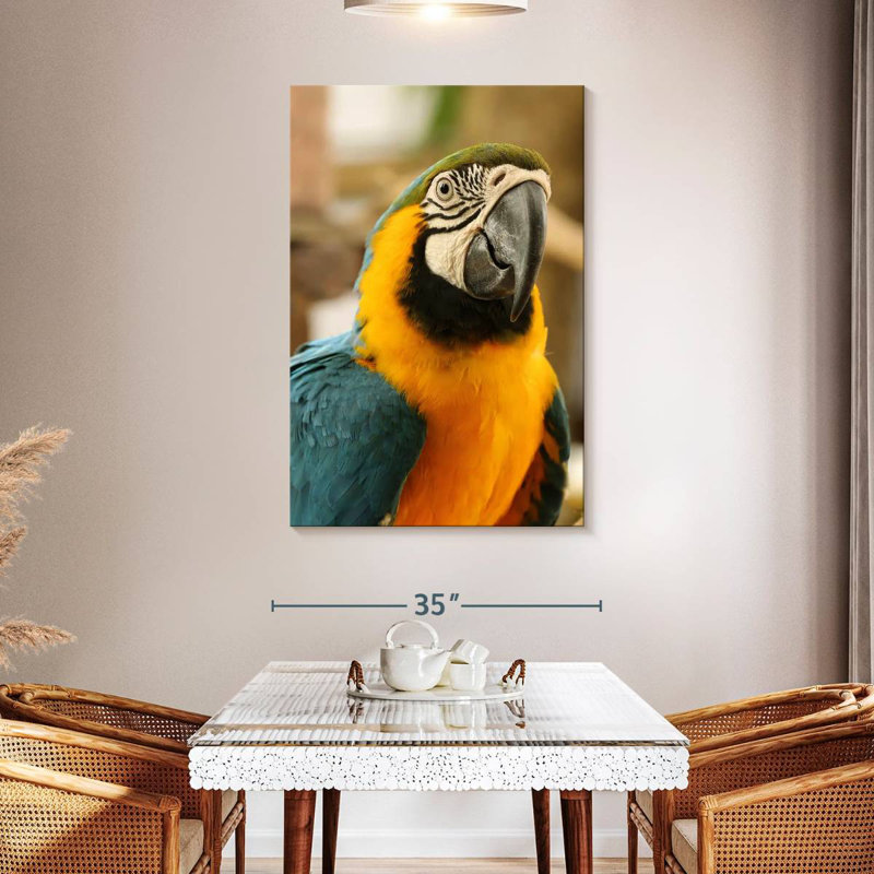 Brampt Exotic Macaw, 48" H x 32" W