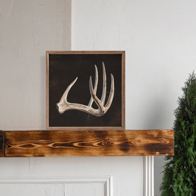 Bois de cerf noir