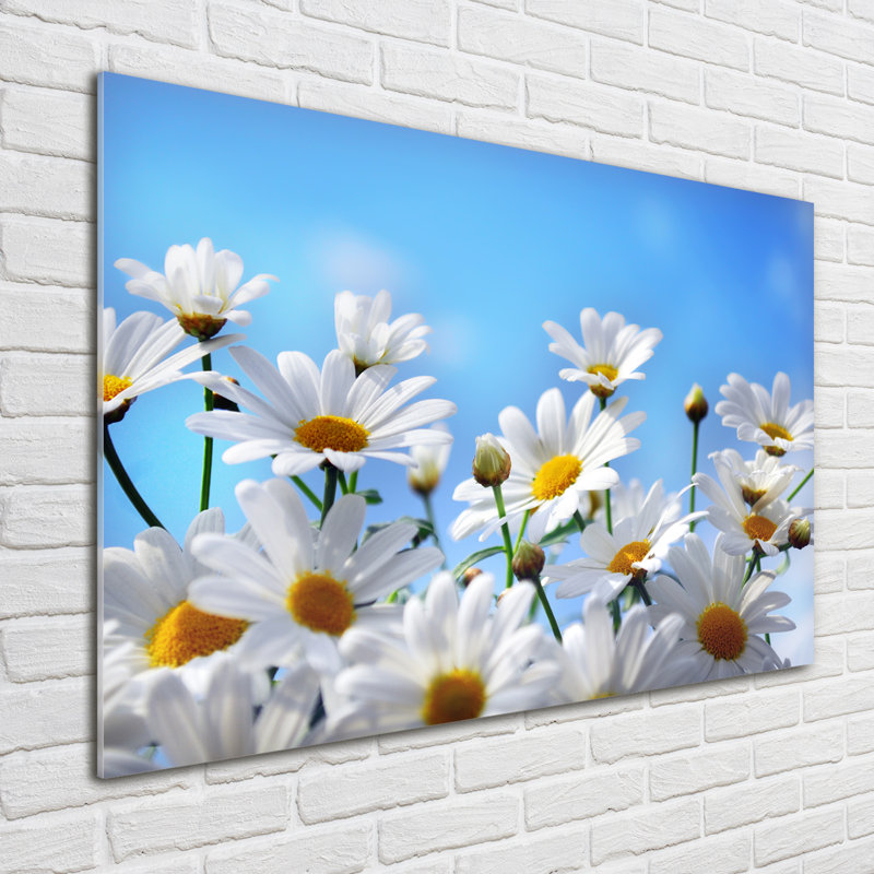 Daisies - No Frame Print on Glass
