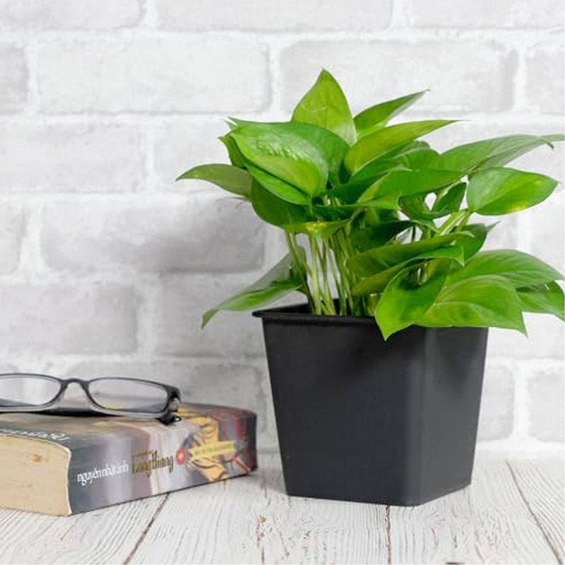 9" Square Garden Plastic Can Urn - Nursery Pots With Drainage  5 . Weather- And , For Plant Growth Tub , Suitable Various Plants