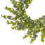 Couronne d'eucalyptus UV 22 po-1773922136