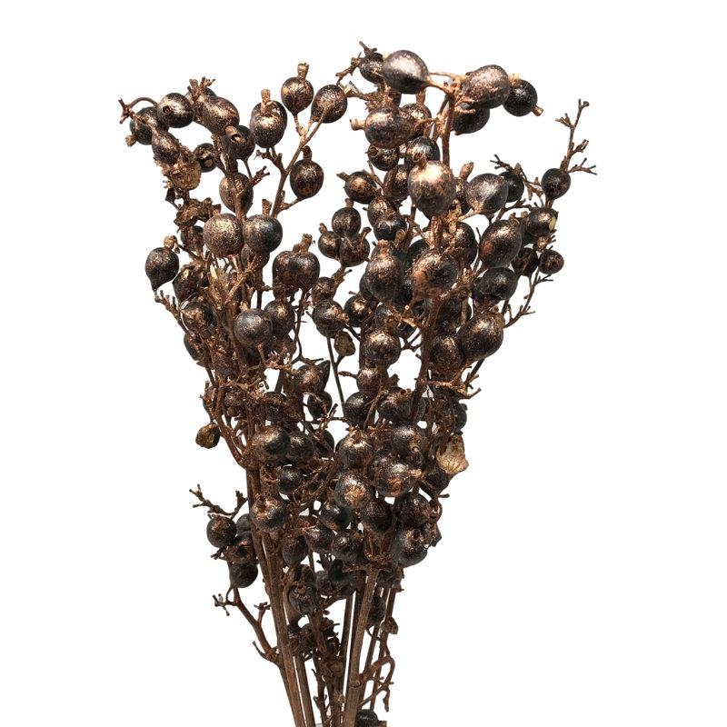 Eldorado Arrangement