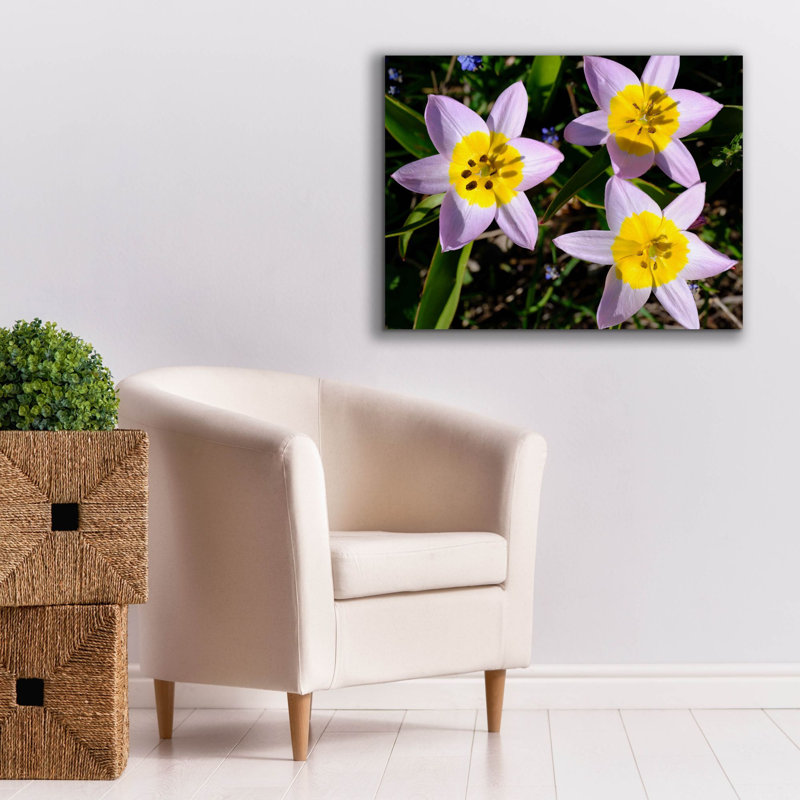 Art mural sur toile Latitude Run® «Flowers Iii» par Epic Portfolio, H 26 po x l 34 po
