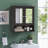 Leshanti Wall Bathroom Cabinet-1792895390