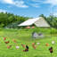Parc à poules Dannish-88681575