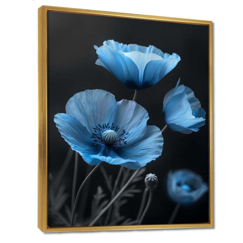 Bleu et noir Natures Nuance Poppies II - coquelicots, art mural, Toile avec cadre flottant or, H 40 po x l 30 po x P 1,5 po