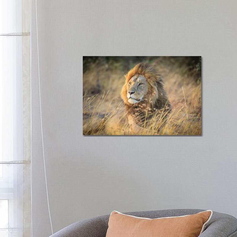 Blondie by Jeffrey C. Sink - Wrapped Canvas Print, 66.04 cm H x 45.72 cm W x 3.175 cm D