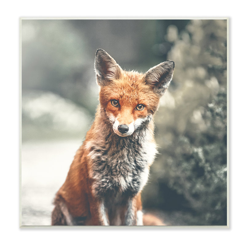 «48_Adorable Woodland Fox», H 12 po x l 12 po x P 0,5 po, Plaque murale