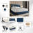 Dziadon Upholstered Unfinished Platform Storage Bed-1138766785-1138766789