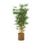 Arbre artificiel à feuilles et Cole Cole Grey-1122949446-1122949464