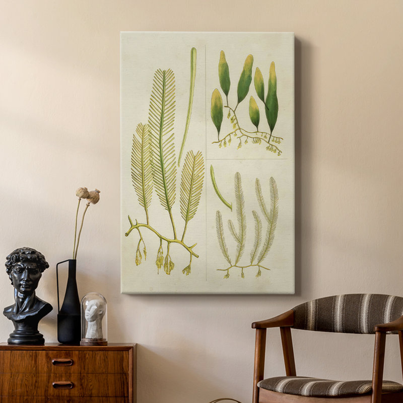 Herbe de mer rétro I - galerie Cavas sur mesure, H 60 po x l 40 po