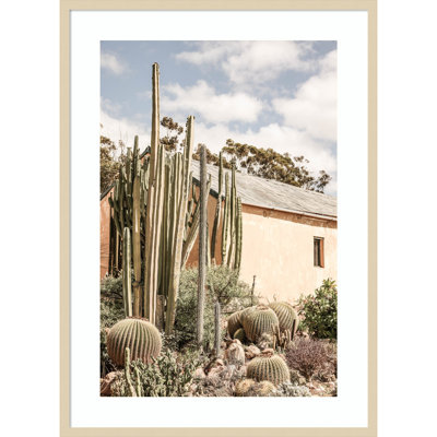Karoo Garden 02 by Shot by Clint Wood Framed Wall Art Print