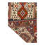 Oriental Area Rug in Ivory