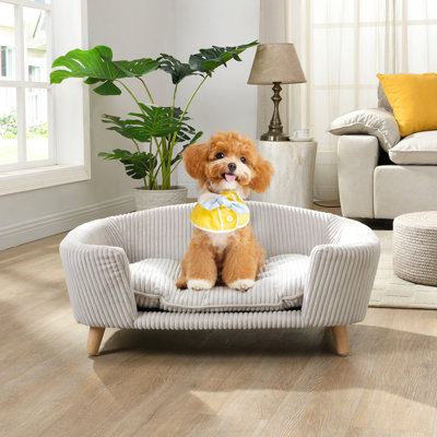 Petit lit pour chien avec conception surélevée, velours côtelé beige, pieds en bois d'hévéa, mousse de soutien, conception moderne pour les chiens en velours côtelé convenant aux appartements et aux maisons