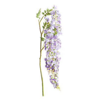 Weeping Wisteria 28-Inch Stem