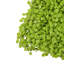 60cm Plant
