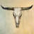 Bull Skull - Rustic Animals Canvas for Home Decor | Art
