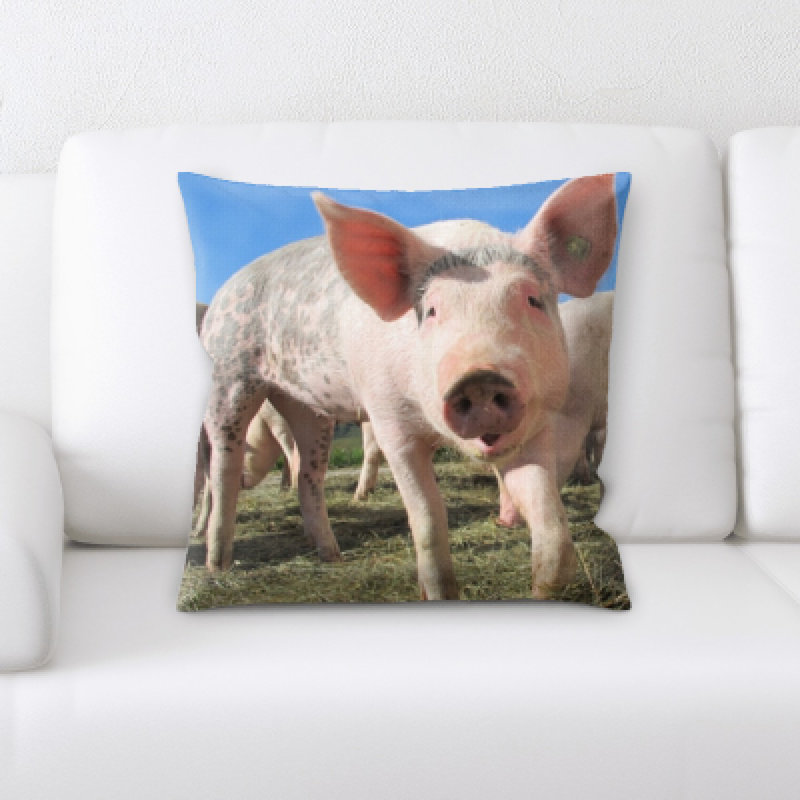 Microsuede Reversible Throw Pillow