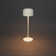 Lille Mini Cordless Table Lamp - USB Rechargeable, Dimmable LED, Elegant Design