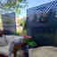 Photos des clients 2 de 2