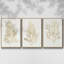 Ensemble de 3 algues dorées encadrées sur toile-97792591-97792592