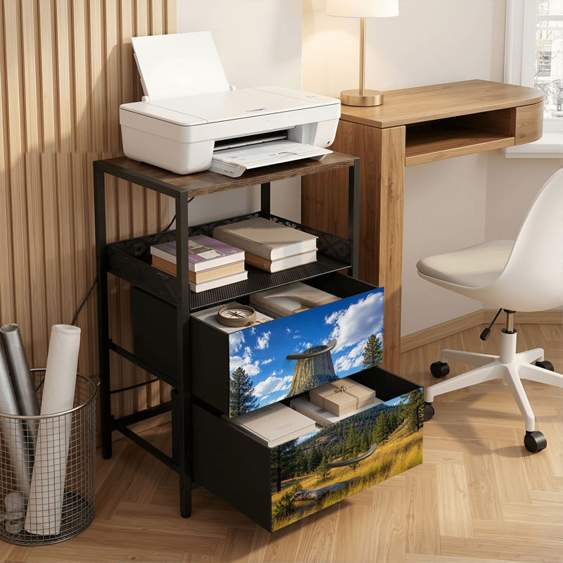 2 Drawers Nightstand with Charging Station, Bedroom Nightstand with USB Ports &amp; Outlets Open Shelf Black, night stand with Tower Golden Prairie Pine Trees under Blue Sky Print