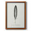 Toile encadrée Found Feather II - prête à être accrochée-2072283621