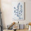 Antique botanique en bleu - impression sur toile tendue-563232801
