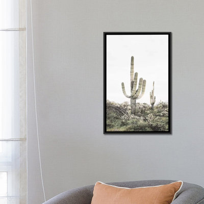 « rosé timide cactus », photographie