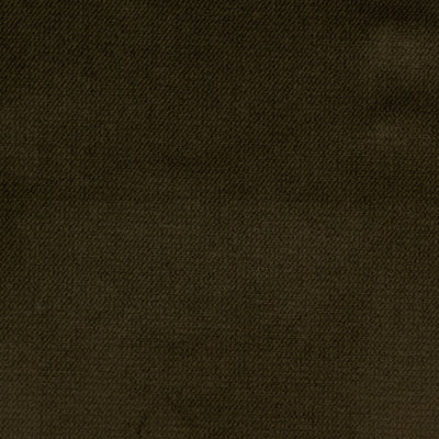 Belvedere-Byron Plush Sateen Velvet Fabric