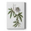 Tropical Botanical I - Cavas enveloppés de galerie-108843873