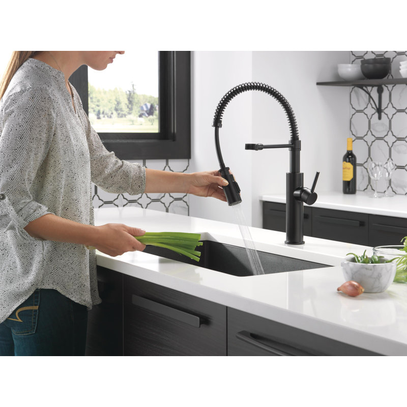 Antoni Pro Style Commercial Kitchen Faucet with Pull Down Sprayer, Single Hole Matte Black Kitchen Sink Faucet, Single Handle, Matte Black
